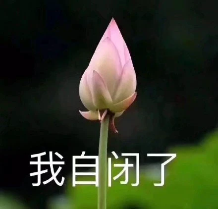针对篮球后卫的全面体能训练方案_2